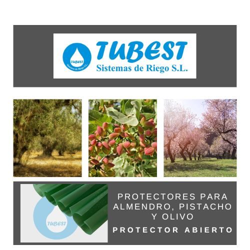 Protector abierto para almendro pistacho olivo Tubest
