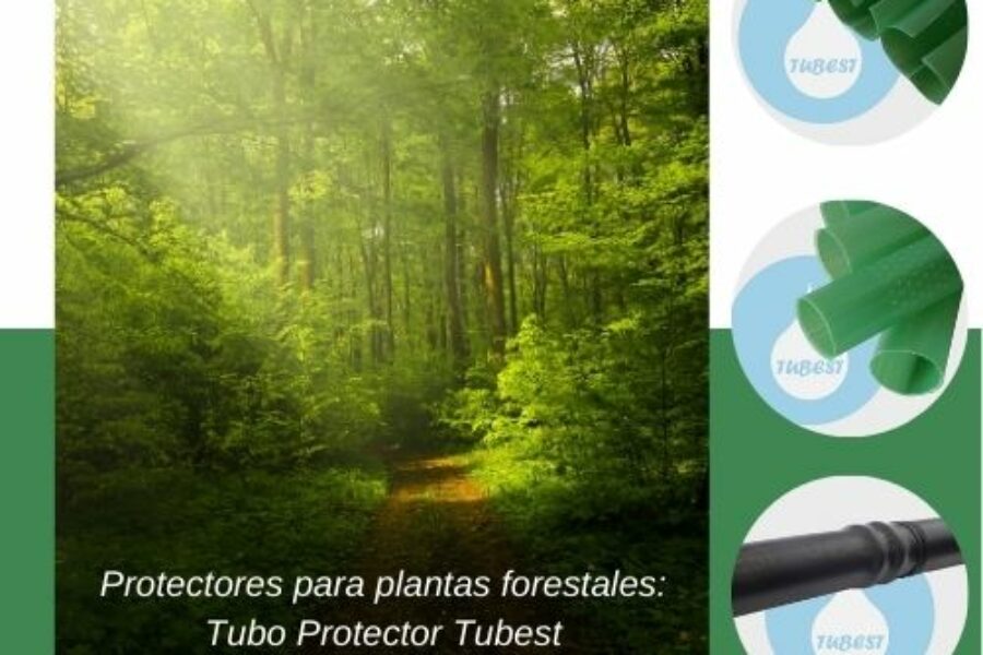 Protectores plantas forestales