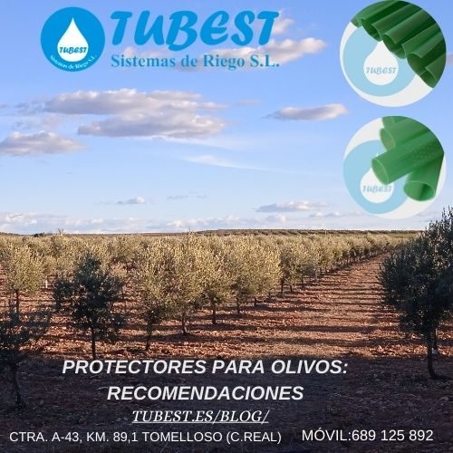 Protectores para olivos cerrados y enrollables Tubest