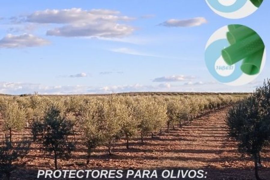 Protectores para Olivos